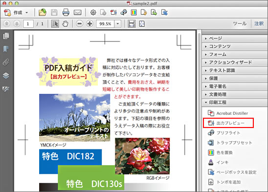 Acrobat 出力プレビュー-2