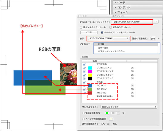 Acrobat 出力プレビュー-4